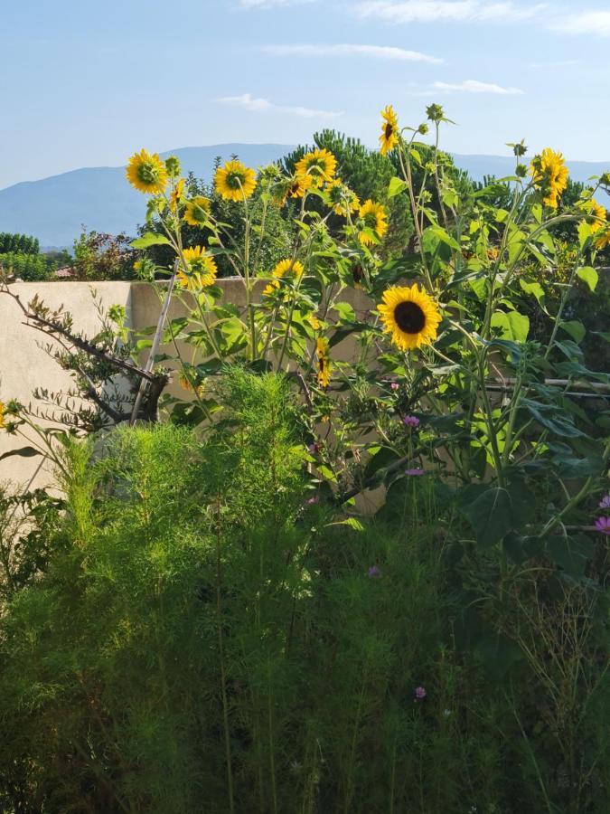 Petit Gite De Provence Mazan Eksteriør billede