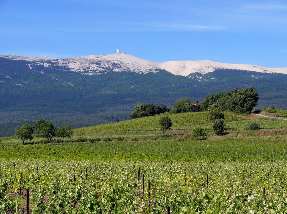 Petit Gite De Provence Mazan Eksteriør billede