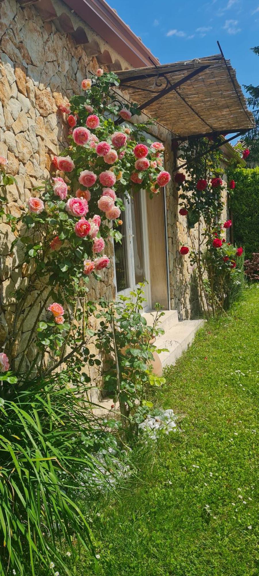 Petit Gite De Provence Mazan Eksteriør billede